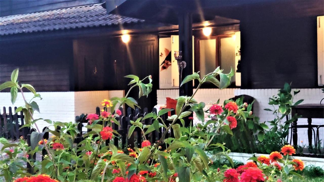 Slow House Y La Cabana De Miss Slower Nigran Bagian luar foto